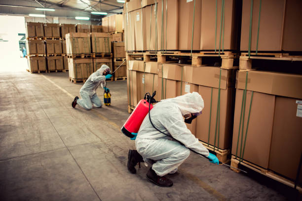 Best Pest Inspection Near Me  in Marine, IL