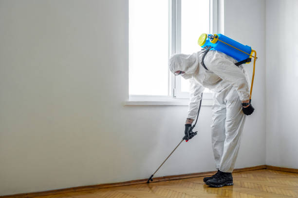 Best Termite Control Services  in Marine, IL