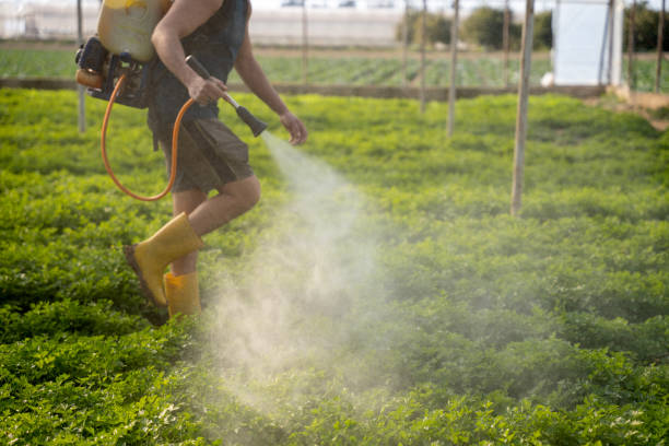Best Affordable Pest Control Services  in Marine, IL