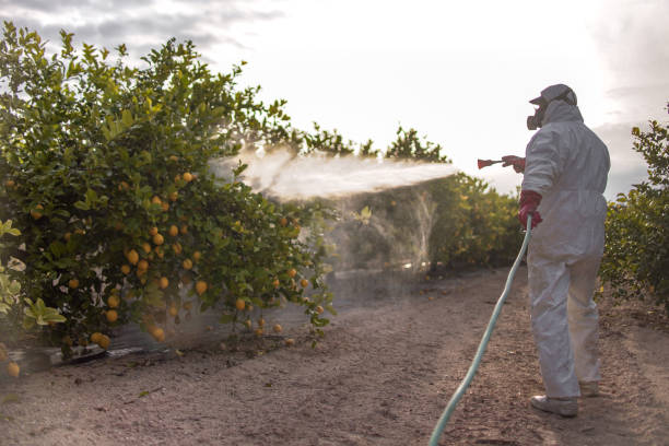 Best Flea Control Services  in Marine, IL