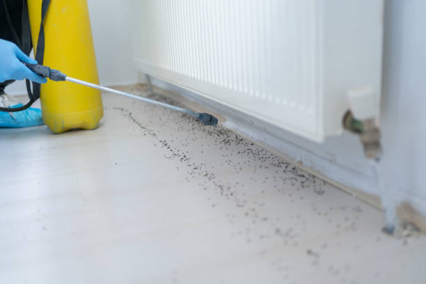 Best Affordable Pest Control Services  in Marine, IL